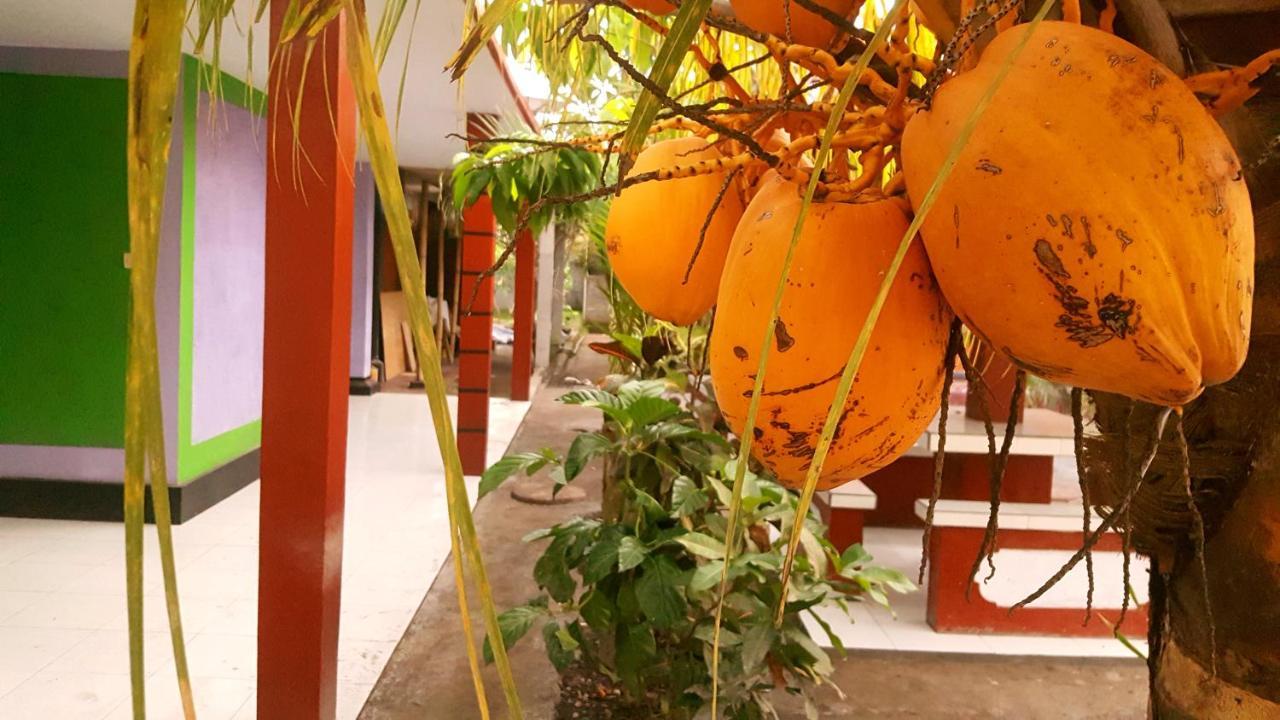 Hotel Segara Mandala Negara  Zewnętrze zdjęcie